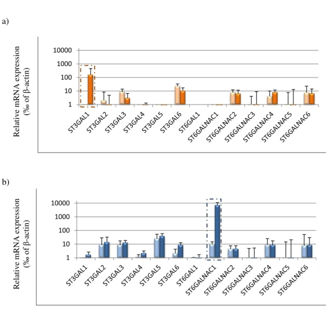 Figure  3.5.  Sialyltransferase  mRNA  expression  in  transduced  cells.  Relative  mRNA  levels  of  several  sialyltransferases  were  analysed  in  a)  HT1376 NC   (pink  bars),  HT1376 sT   (orange  bars)  and  b)  MCR NC    (light  blue  bars)  and  