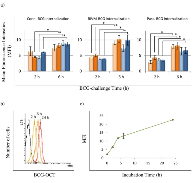 Figure 3.6. Time course of BCG internalization  by  bladder cancer cell lines. a) Analysis by FACS of  the internalization of Connaught-BCG, RIVM-BCG or Pasteur-BCG by HT1376 NC  cells (light orange bars),  HT1376 sT  cells (orange bars), MCR NC  cells (li