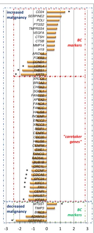 Figure  3.7.  Gene  signatures  in  HT1376  cells. 