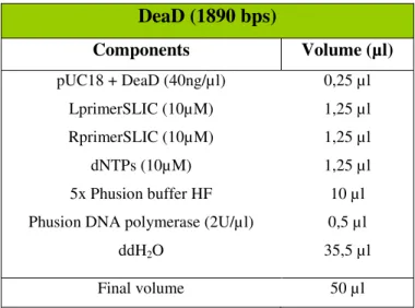 Table 7 - PCR Program used for DeaD gene amplification. 