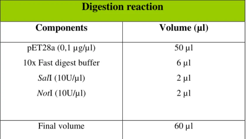 Table 8 - Digestion of pET28a vector with SalI and NotI restriction enzymes. 