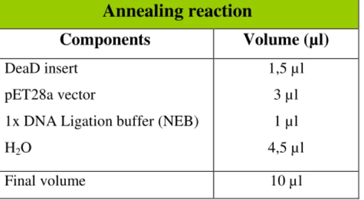 Table 10 – Annealing reaction mix. 