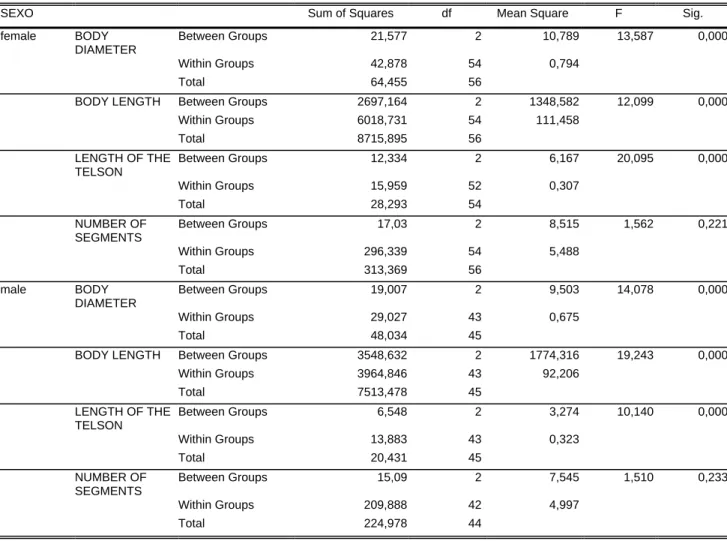 Table II: Analysis of variance of the values obtained for the variables studied in males and females of the  genus Rhinocricus of light, medium and dark color