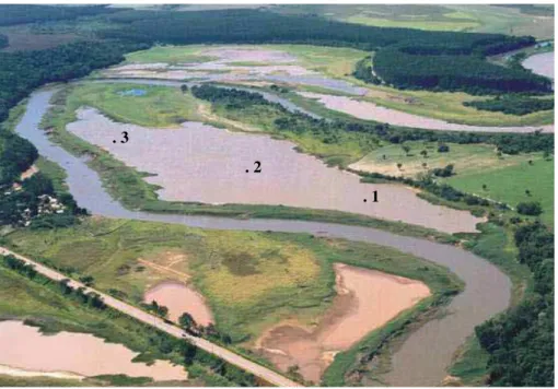 Figura 3. Foto aérea da Lagoa do Camargo (obtida no ano de 1999), destacando as  estações de amostragem
