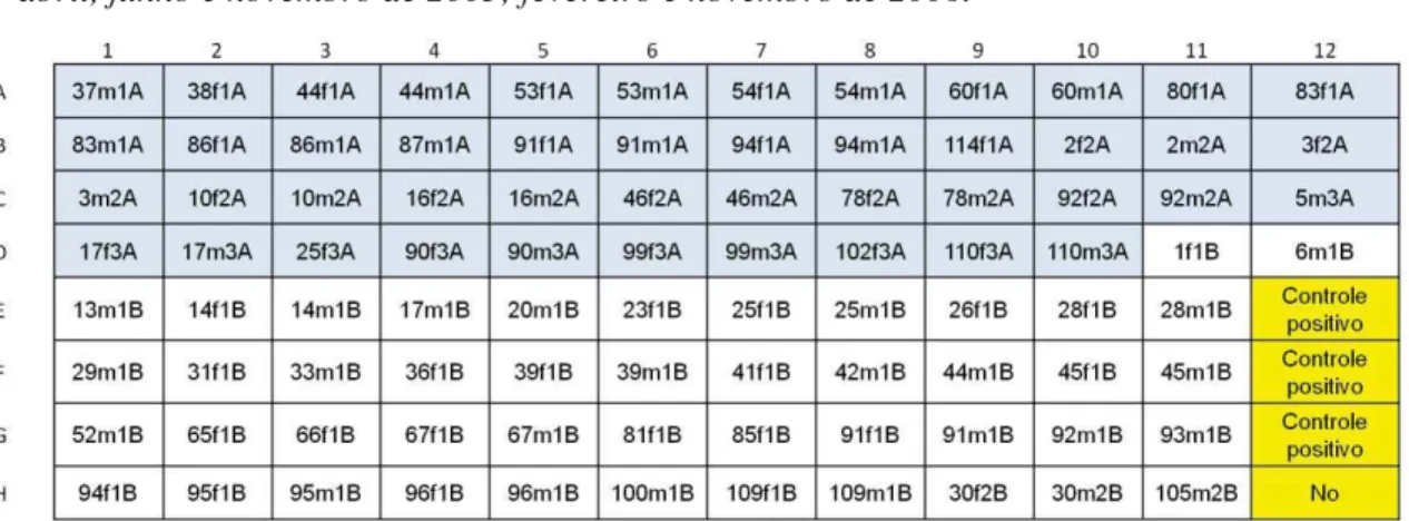 Figura 4. O primeiro número que pode ser de 1 a 120, se refere ao quadrante de onde a palheta foi  originada