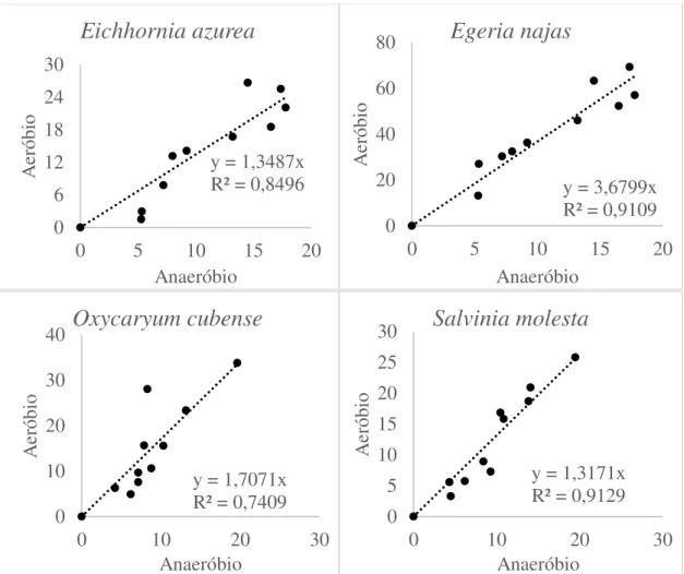 Figura  6.  Regressões  lineares  dos  valores  acumulados  de  carbono  mineralizado  (%)  derivados da degradação de macrófitas aquáticas em condições aeróbias e anaeróbias
