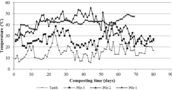Fig. 1 Temperature profile of the composting processes