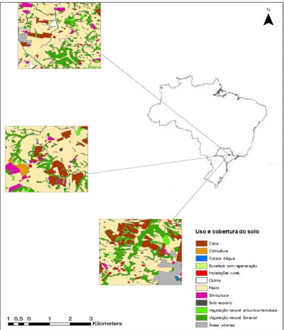 Figura 1. Áreas de amostragem de pasto (16 km 2  cada) selecionadas para o projeto “Avaliação multi-escala de  impactos  na  biodiversidade  em  paisagem  fragmentada  agrícola”  (Processo  Fapesp  -  2011/06782-5)  na  Bacia  Hidrográfica do rio Corumbata