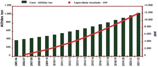 Figura 1.5: Estimativa da produção de cana e de bioeletricidade no Brasil.  (Fonte: COGEN-SP, 2007.) 