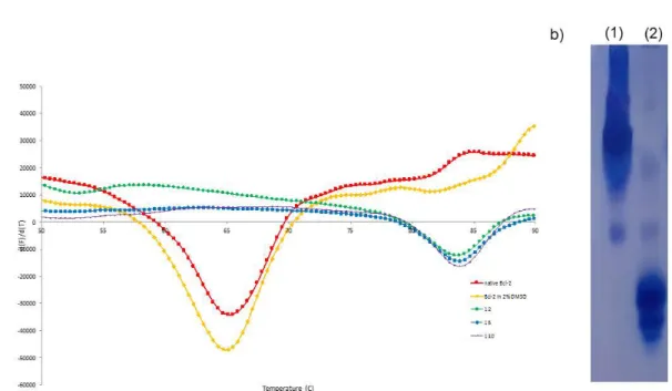 Figure 1. (a) TSA of chimeric Bcl-2 and incubated with venetoclax in different protein-ligand molar  ratios: Bcl-2 in red, Bcl-2 with 2% DMSO in yellow, 1:2 in green, 1:5 in blue, 1:10 in pink color