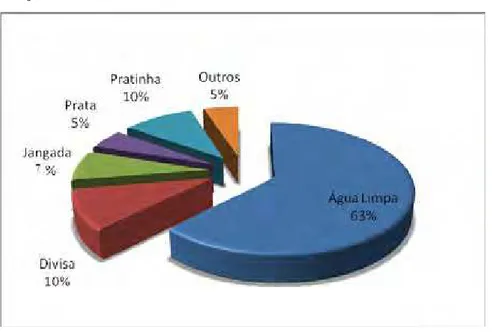 FIGURA 2. Distribuição percentual das unidades de produção de banana do município de  Araçatuba-SP, nos anos de 2010 – 2011