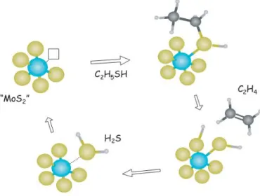 Figura  5  -  Representação  esquemática  do  ciclo  catalítico  para  o  HDS  de  hidrocarbonetos sulfurados (etano tiol) pela vacância de enxofre em MoS 2 