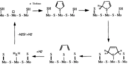 Figura 7  –  Ciclo catalítico geral para o mecanismo de hidrogenação para ocorrência  de hidrodessulfurização do tiofeno
