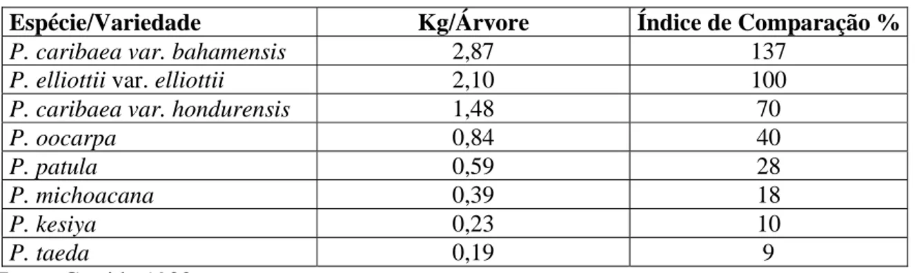 Tabela 1 – Produtividade de resina de oito espécies de Pinus em Kg/árvore, em Assis-SP