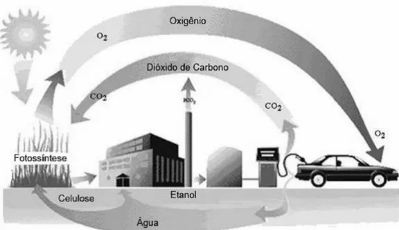 Figura 5 - Reciclo do dióxido de carbono com etanol combustível. 