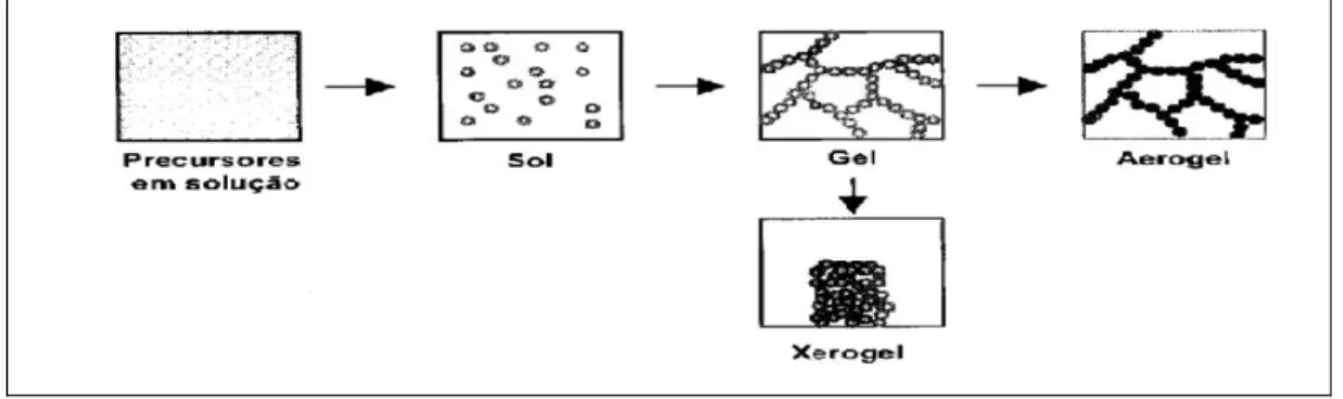 Figura 2.7 Esquema do processo sol-gel com diferentes transformações de fases. 