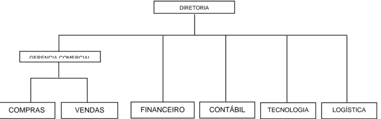 Figura 4: Organograma da empresa desenvolvido pela autora. 