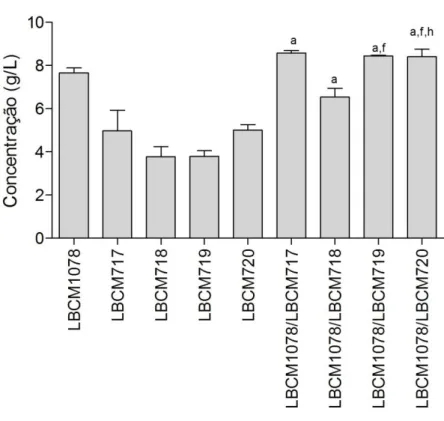 Figura  9:  Produção  de  etanol,  quantificada  por  HPLC,  nas  amostras  das  fermentações  em  meio  YP  maltose 2%
