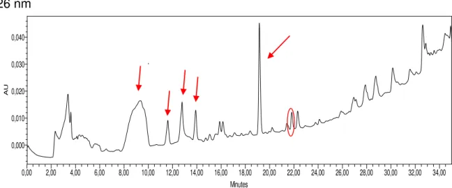 Figura 7. Cromatograma do extrato 3 S.A (sem agitação) 