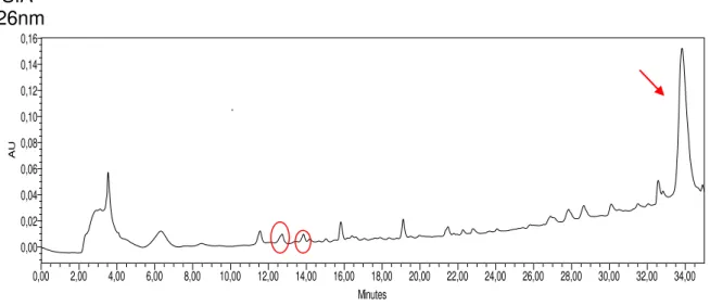 Figura 9. Cromatograma do extrato 5 S.A (sem agitação) 