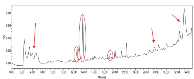 Figura 14. Cromatograma do extrato 12 S.A (sem agitação) 