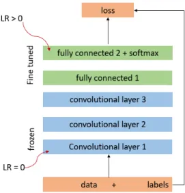 Figure 2.3: Transfer Learning Technique: Frozen and fine tuned layers, Source 6 The essence of applying transfer learning can be described in terms of amount of data available and similarity or differences in the nature of that data