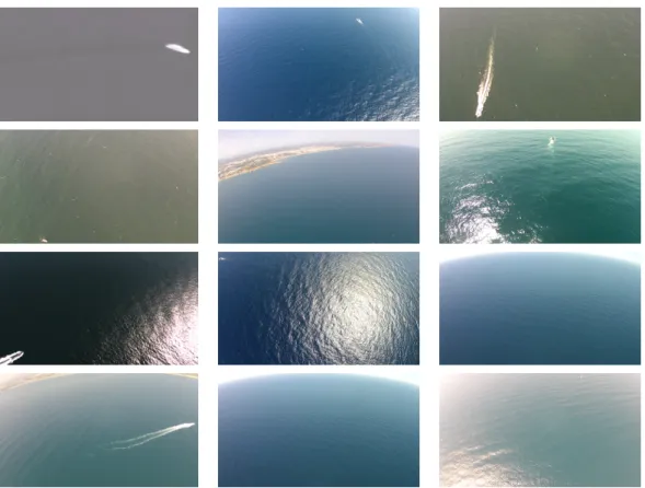 Figure 3.2: Data Exploration: images with varying background environments