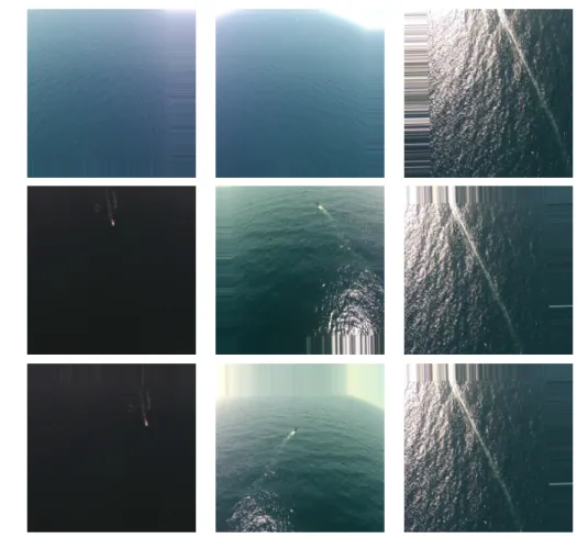 Figure 5.1: Images obtained with Data Augmentation Techniques