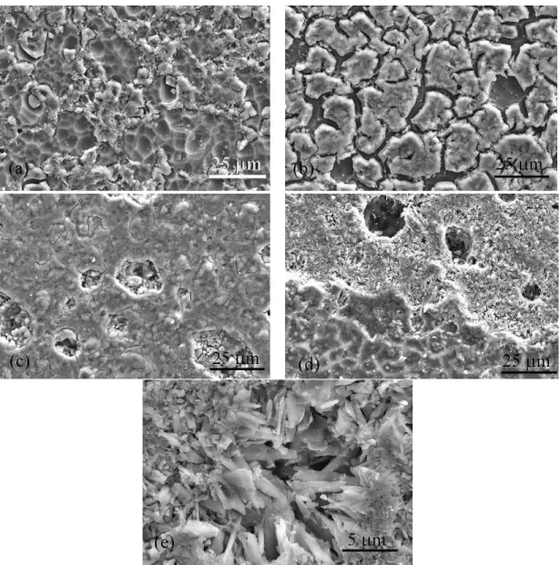 Figure  4.1.8.  SEM images  of  glass powder  compacts  (a) TCP-10, (b) TCP-20, (c)  TCP-30,  after  sintering  at  800  ºC  for  1  h,  respectively  while  (d)  and  (e)  represent  glass composition TCP-10 after sintering at 900 ºC for 1 h