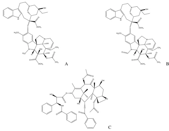 Figura 2: Estrutura química da vimblastina (A), vincristina (B) e paclitaxel (C). 