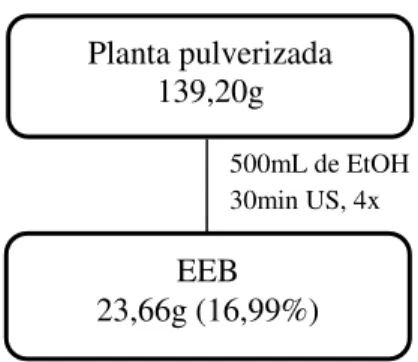Figura 4: Esquema de obtenção do extrato etanólico bruto de A. americana por ultrassom