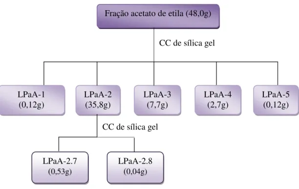 Figura 5. Fluxograma de isolamento de LPaA-2.7 e LPaA-2.8 a partir da fração acetato de etila de  L