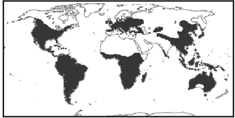 Figura III. 1. Distribuição da família Celastraceae em todo o mundo. 