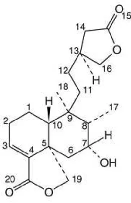 Figura V.1: Estrutura molecular de AP5i21 proposta a partir de RMN de  1 H  e de  13 C