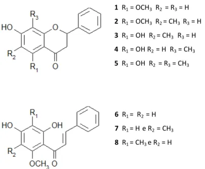Figura 3.5: Estruturas químicas das flavanonas e chalconas isoladas do extrato metanólico de C