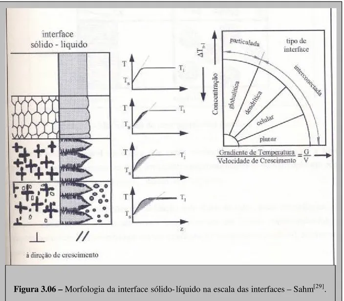 Figura 3.06 – Morfologia da interface sólido-líquido na escala das interfaces – Sahm [29] 