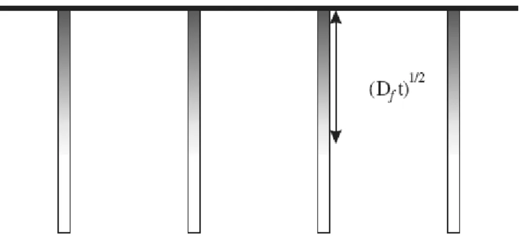 Figura 3.8- Cinética de difusão tipo C (Mishin et al.,1999). 