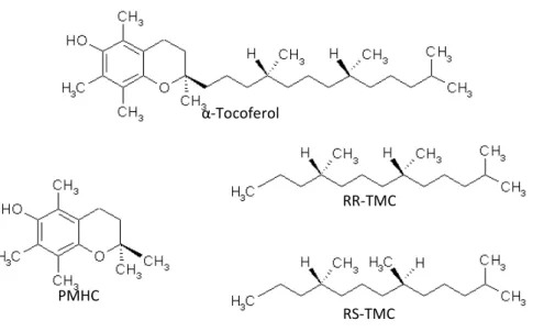 Figura 7 – Divisão da molécula de α O RRR-αT foi dividido em duas parte trimetil-tridecano, RR-TMC)