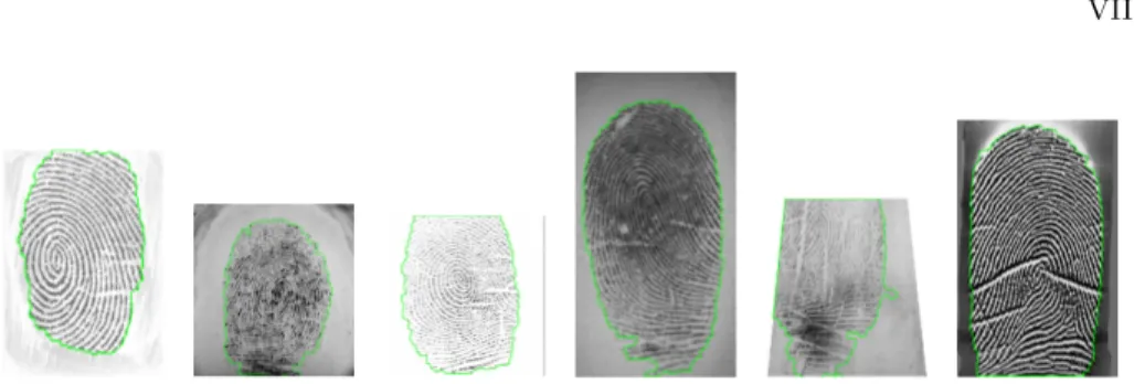 Fig. 4: Results of the proposed fingerprint segmentation algorithm in images of the FVC databases aquied from different sensors types.