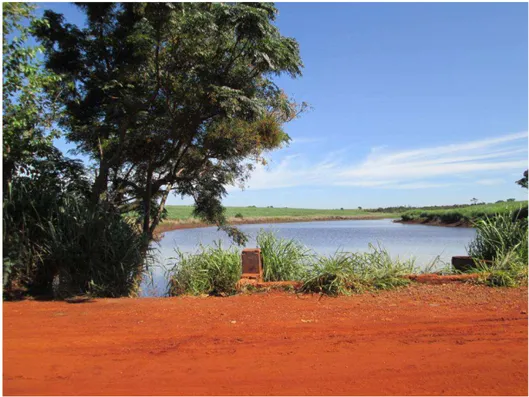 Foto 1: Barragem de terra (área de estudos) em Cordeirópolis. 