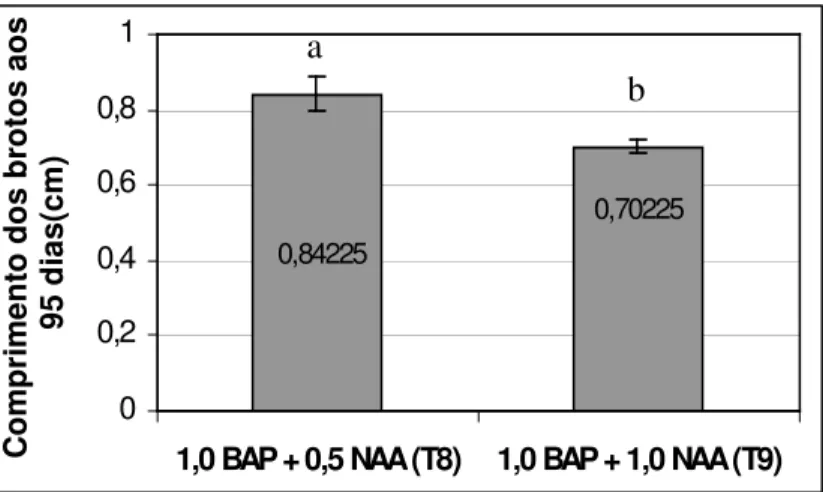 Figura 7. Comprimento das brotações de abacaxizeiro ‘IAC Gomo-de-mel’ cultivadas in vitro  por 95 dias nos diferentes tratamentos