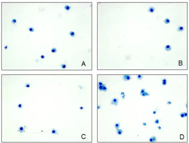 Figura 7. Fotomicrografia de LBA.  GC (A), FA1 (B), FA5 (C), FA10 (D). Panótipo rápido