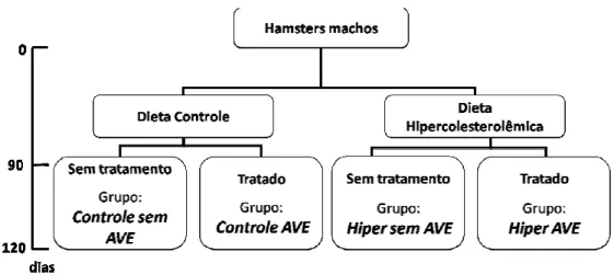 Figura 2. Organograma dos grupos experimentais de acordo com o tipo de dieta e tratamento recebidos