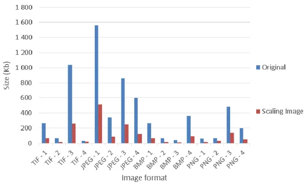 Figure 9: Size and image format comparison in lossy compression. 