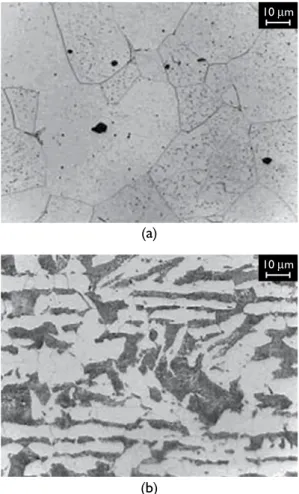 Figura 2. Fotomicrografias dos aços da PMH: a) amostra 1  (do tipo AISI 1005); e b) amostra 2 (aço do tipo AISI 1123); 