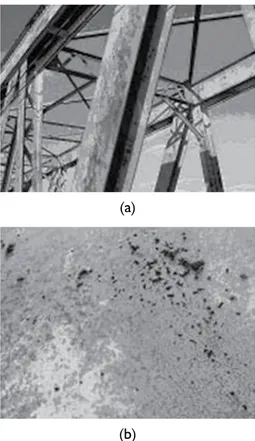 Figura 4. Corrosão generalizada nas estruturas metálicas  da ponte – regiões superiores.