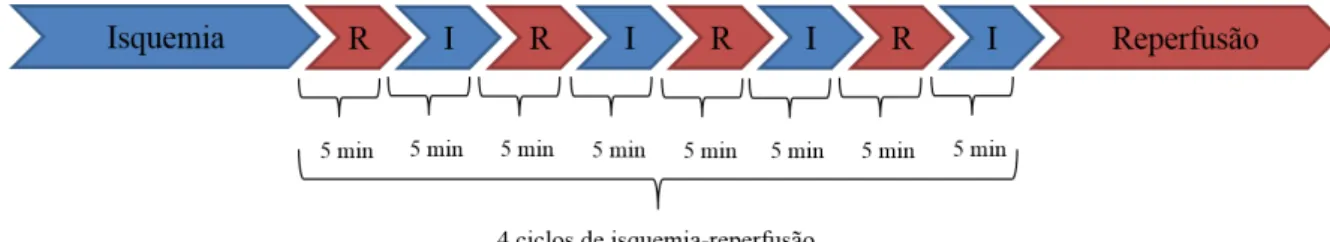 Figura 4: Esquema ilustrativo dos ciclos de isquemia-reperfusão do pós-condicionamento isquêmico