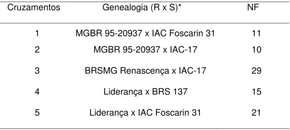 Tabela  1.  Relação  dos  cruzamentos  contrastantes  para  reação  de  resistência  ao  nematóide de cisto (raça 3), com as respectivas genealogias e número de famílias (NF)  na geração F 6 