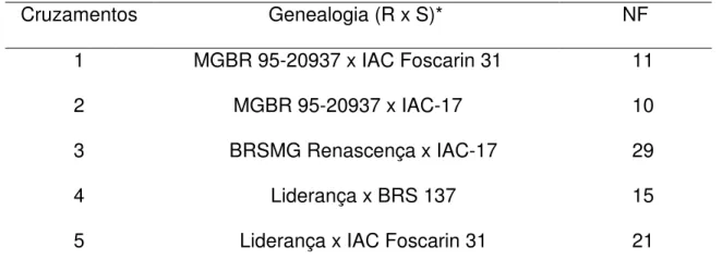 Tabela  1.  Relação  dos  cruzamentos  contrastantes  para  reação  de  resistência  ao  nematóide do cisto (raça 3), com as respectivas genealogias e número de famílias (NF)  na geração F 6 