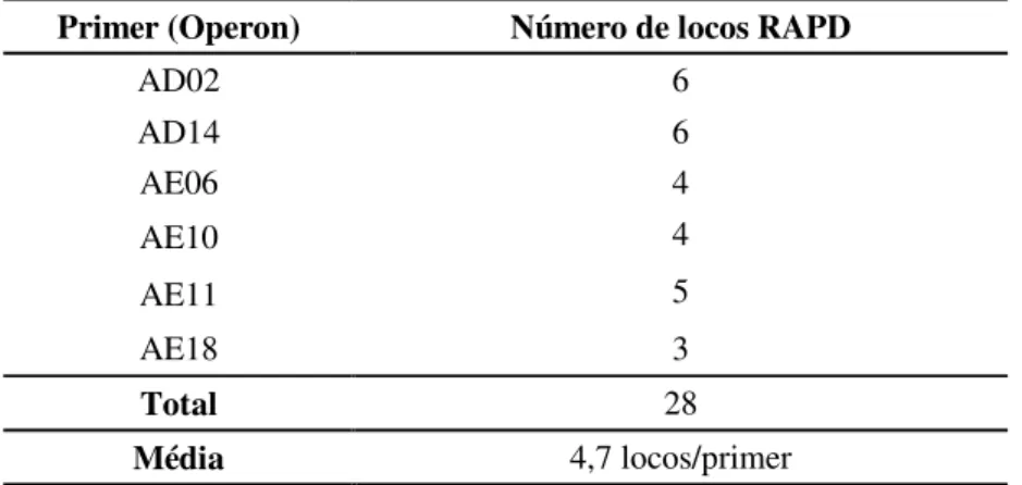 Tabela 31. Número de locos obtidos, com Primers RAPD, utilizados na caracterização molecular de  Pinus caribaea var